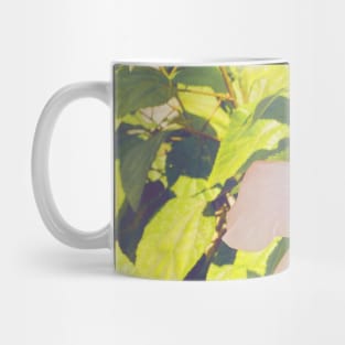 Pretty Pink Flower Photography design with blue sky nature lovers Mug